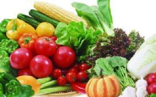 山西科普惠農(nóng)特色優(yōu)質(zhì)農(nóng)產(chǎn)品展銷會(huì)盛大開幕，花卉產(chǎn)業(yè)綻放異彩